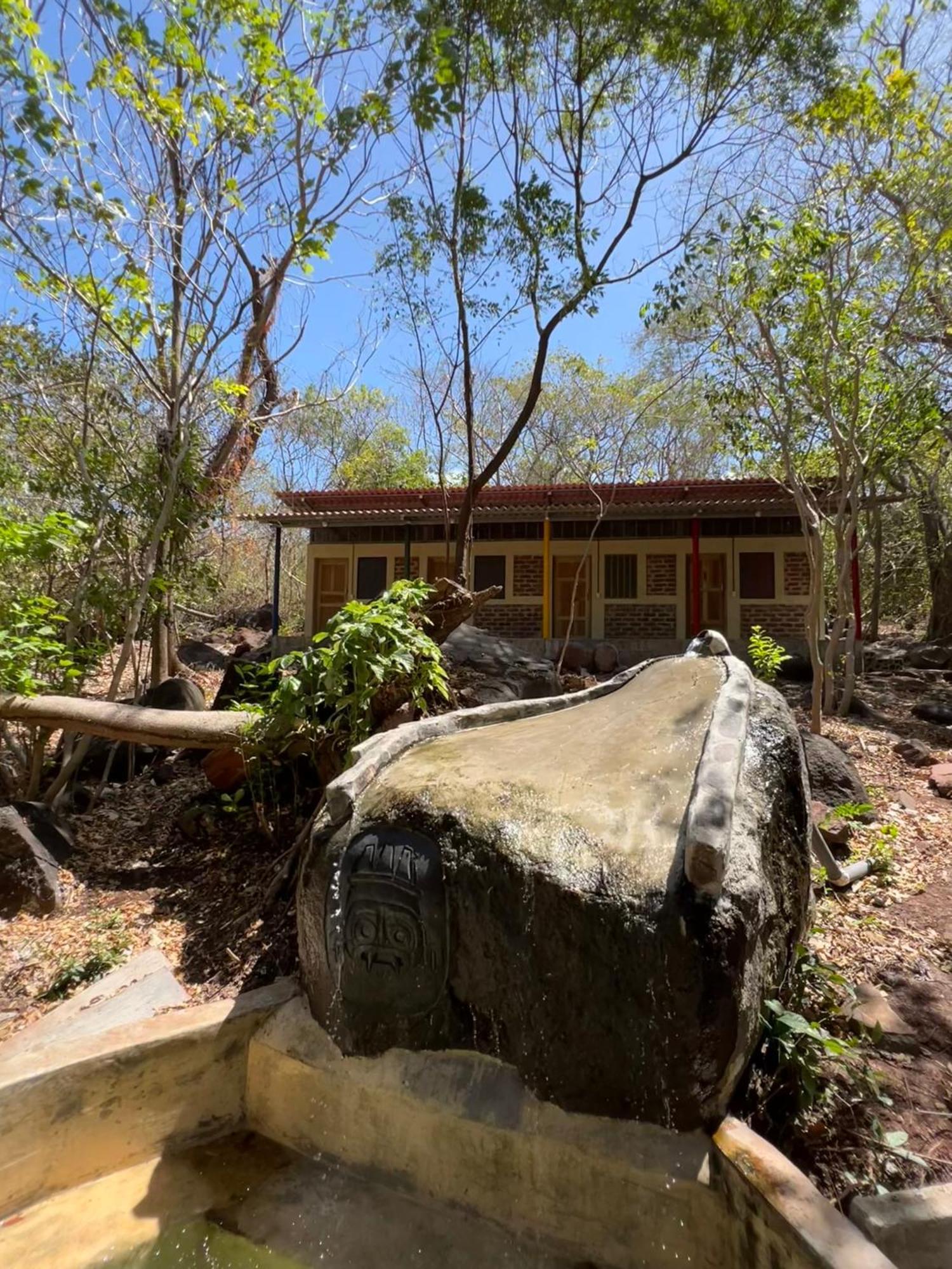 Albergue Raindance Santa Cruz Exterior foto